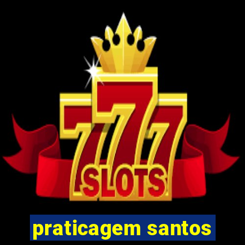 praticagem santos